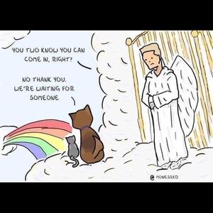 Meet your Posher, Carol